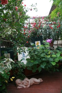 momenti ....giugno in terrazzo