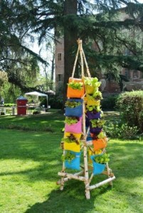 Orto verticale montato su struttura di betulla collezione di insalate