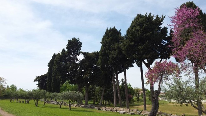 paestum viale