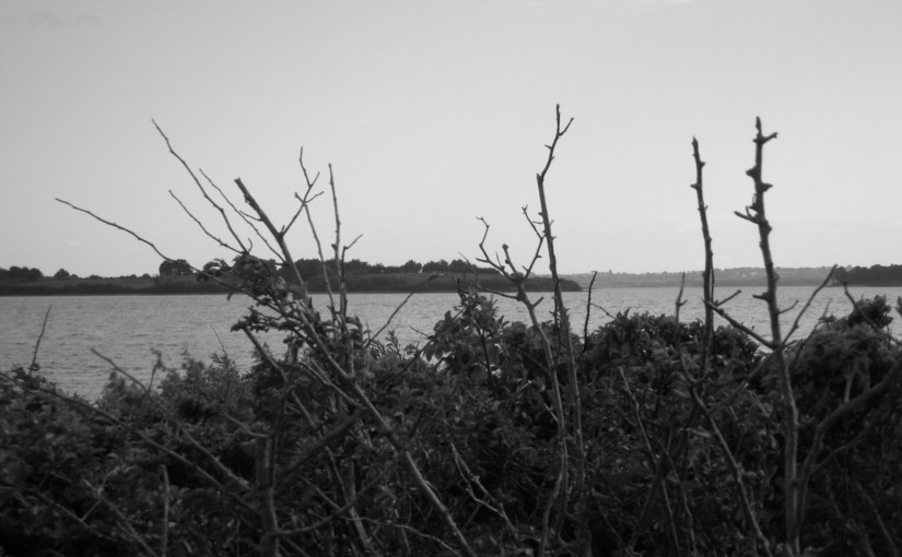 Identititas o la consapevolezza di&nbsp;sè…